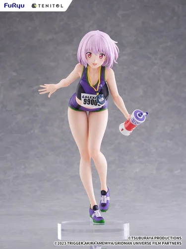 Gridman Universe Tenitol Tall PVC Figure Akane Shinjo Sportswear Ver. 28 cm