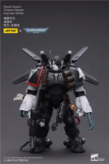 Warhammer 40k Action Figure 1/18 Raven Guard Chapter Master Kayvaan Shrike 12 cm